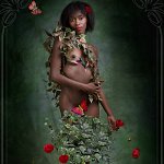Série Femmes-Fleurs: Black Poppy